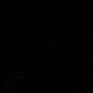 Meet your Posher, Evelyn